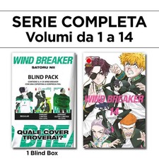 Wind breaker blind usato  Calcinaia