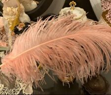 Alte straußenfeder shabby gebraucht kaufen  Selb