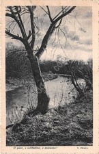 Cartolina alberi ruscello usato  Milano