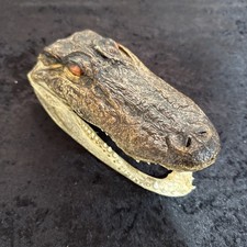 Jumbo alligator head for sale  Crown Point