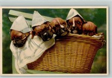 10141454 boxerwelpen korb gebraucht kaufen  Eimeldingen