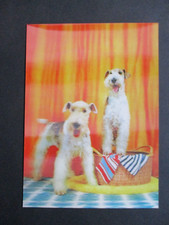 Vintage postcard terrier for sale  NORWICH