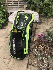 Pairs plastic stumps for sale  DUNSTABLE