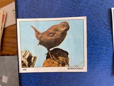 Panini album degli usato  Canelli