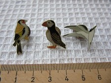 Job lot birds for sale  ARMAGH