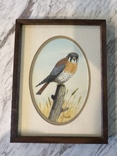 Original framed watercolor for sale  Phoenix