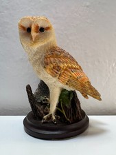 The country bird gebraucht kaufen  Ludwigshafen am Rhein