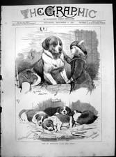 Old print bernard for sale Old print bernard for sale  UK