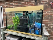 Aqua one fish for sale  MARLBOROUGH