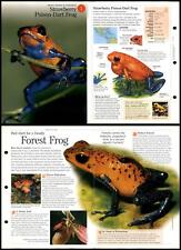 Strawberry poison dart for sale  SLEAFORD