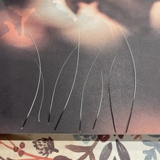White dark tips for sale  Vancouver
