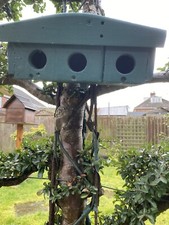 Bird house for sale  SCUNTHORPE