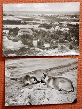Ansichtskarten postkarten wyk gebraucht kaufen  Bad Vilbel