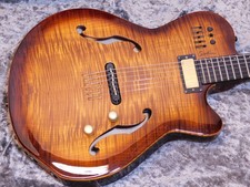 Godin multiac jazz usato  Spedire a Italy