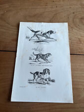 Gravure ancienne chien d'occasion  Saint-Jean-en-Royans