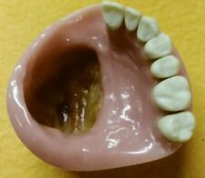 Cleft palate dental d'occasion  Expédié en France