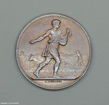 Bronze medaille comice gebraucht kaufen  Remscheid