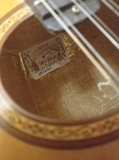 Greek bouzouki hardcase d'occasion  Expédié en Belgium