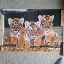 Daily wildlife poster for sale  OXFORD