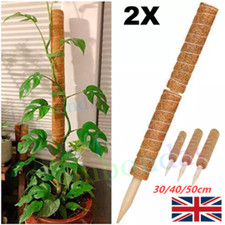 wooden curtain pole bracket 23 mm for sale wooden curtain pole bracket 23 mm for sale WORCESTER