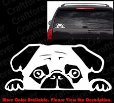Peeking pug puppy for sale  Elk Grove