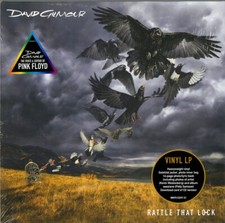 David gilmour rattle usato David gilmour rattle usato  Savigliano