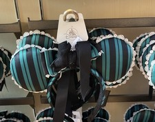 Disney parks 2025 for sale  Kissimmee