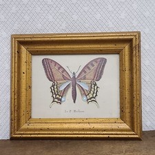 Vintage machaon gold for sale  Ravenna
