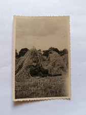 Ww2 fotografia soldato usato  Pescara