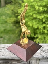 Vintage 1960s pommel for sale  Dixon
