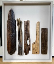 Large driftwood abstract for sale Large driftwood abstract for sale  HASTINGS