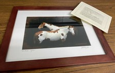 Robert medina cook for sale  Quakertown