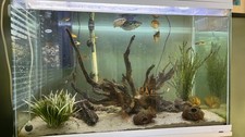 Fish tank aquarium for sale  WOODFORD GREEN