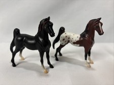Lot miniature horses for sale  Tampa
