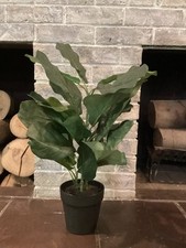 Artificial house plant for sale  Nappanee