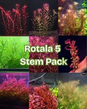 Rotala stem pack for sale  Clarksville