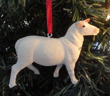 Sheep lamb farm for sale  Henderson