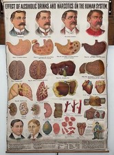 human body posters for sale  Louisville