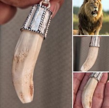 Pingente de prata 925 amuleto dente de leão africano Spiritual ناب الاسد افريقي اصلي نادر comprar usado  Enviando para Brazil