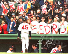Pedro martinez autographed for sale  Mckinney