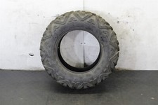 At27x9.00 tusk trilobite for sale  Grants Pass