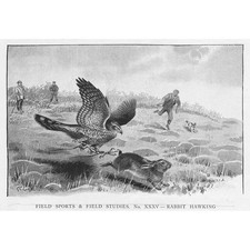 Victorian hunting scene for sale  GLASGOW