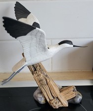Rare ltd ashmor for sale  SHREWSBURY