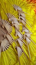Schleierfächer fächer baucht gebraucht kaufen  Grünstadt