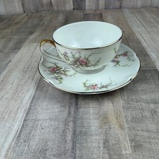 Theodore haviland limoges for sale  Lanesville