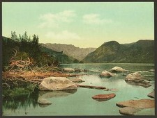 Wyoming lake damalia for sale  UK