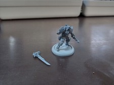 Warmachine hordes söldner gebraucht kaufen  Münster