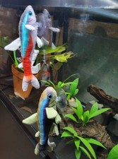 Neon tetra plushies for sale  Post Falls