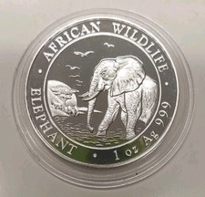 Somalia elephant elefante usato  Poviglio