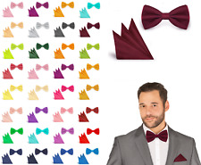 Fliege einstecktuch set gebraucht kaufen  Dingolfing